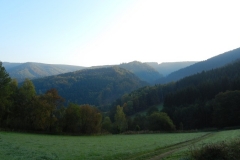 img00038