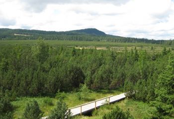 img00025