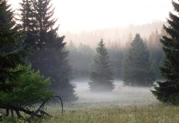 img00031